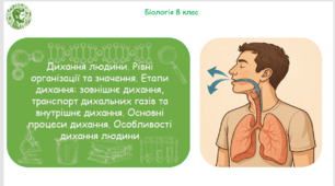 Презентація, конспект уроку та робочі аркуші на тему "Дихання людини. Рівні організації та значення. Етапи дихання: зовнішнє дихання, транспорт дихальних газів та внутрішнє дихання. Основні процеси дихання. Особливості дихання людини". 8 клас НУШ