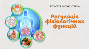 8 клас НУШ. Регуляція фізіологічних функцій 