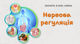 8 клас НУШ. Нервова регуляція 