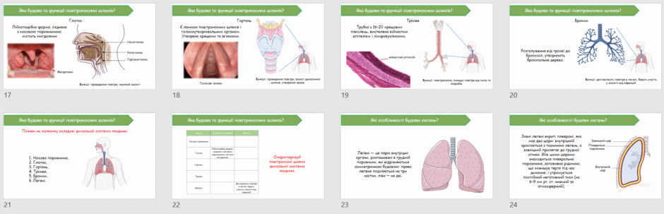08016n1k-d9bc-940x303.png