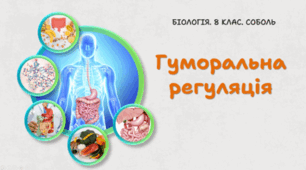 8 клас НУШ. Гуморальна регуляція 