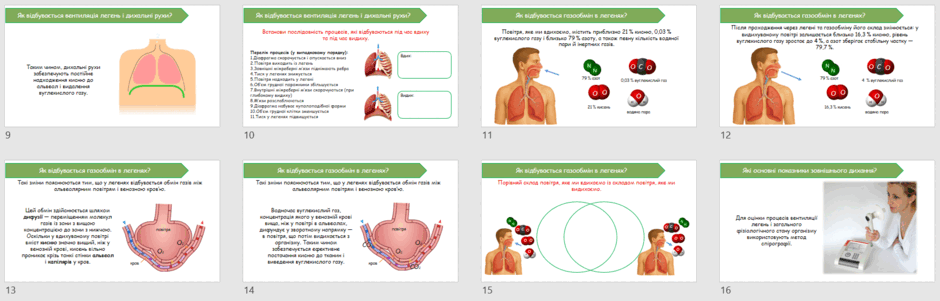 08016nfq-3495-940x301.png