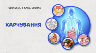 Харчування.8 клас НУШ