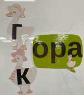 08016nxg-43f9-173x197.png