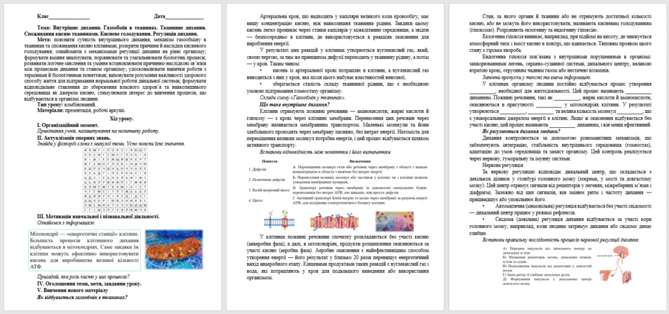 08016odv-d102-940x442.png