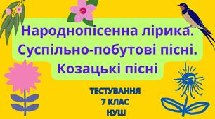 Народнопісенна лірика. Суспільно-побутові пісні. Козацькі пісні