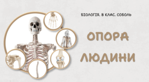 8 клас НУШ. Опора людини