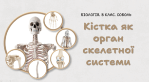 8 клас НУШ. Кістка як орган скелетної системи