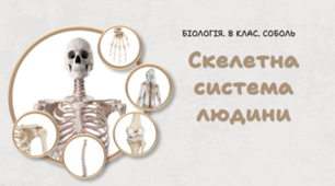 8 клас НУШ. Скелетна система людини 