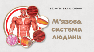 8 клас НУШ. М'язова система людини 
