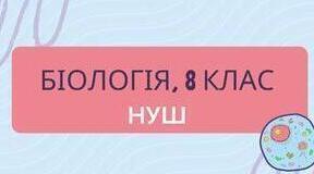 Будова та функції опорно-рухового апарату