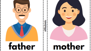 Flashcards Module 3 "Home and Family" Smart Junior 2
