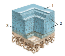 08016qtc-cefa-208x181.png