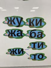 08016r5z-3190-171x228.jpg