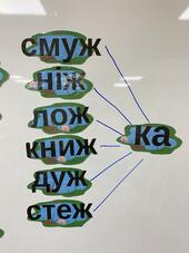 08016r65-2ef8-170x227.jpg
