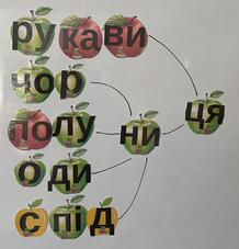08016r8y-41b8-218x227.jpg