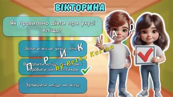 08016s9z-7ad6-353x199.jpg