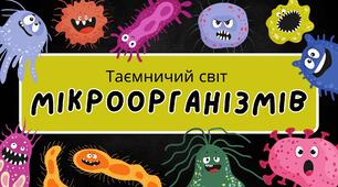 Презентація "Таємний світ мікроорганізмів"