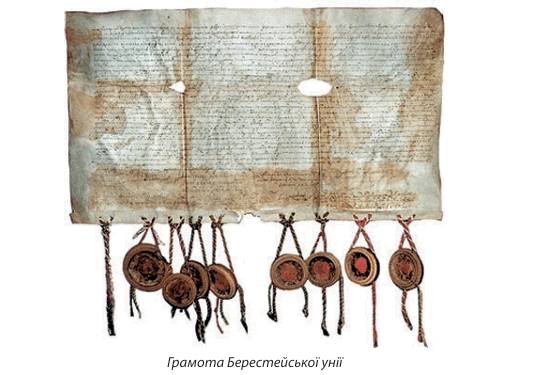 08016suj-56b6-545x375.png