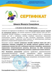  НУШ. Перехід на новий рівень, ІППО