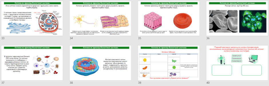 08016tm2-5fac-940x300.png