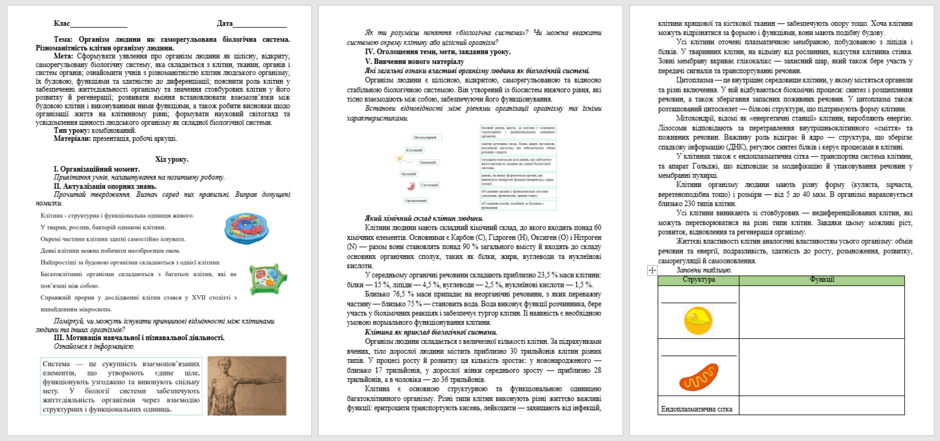 08016tm5-6e25-940x441.png