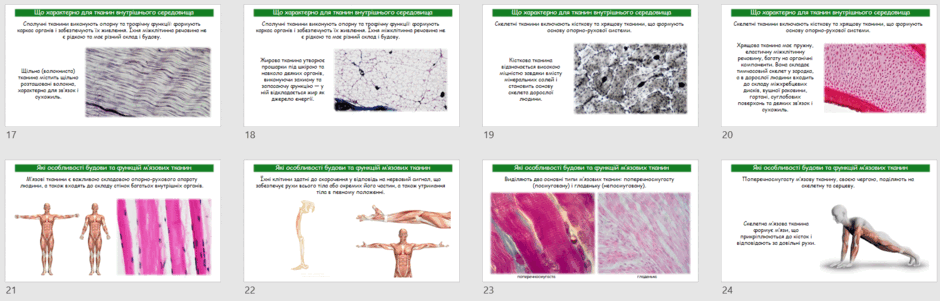08016u4g-5c79-940x301.png