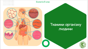 Презентація, конспект уроку та робочі аркуші на тему "Тканини організму людини". 8 клас НУШ