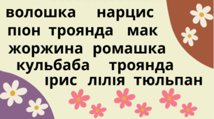 Вправа зі швидкочитання