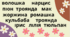 Вправа зі швидкочитання
