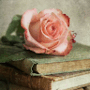 https://fs08.vseosvita.ua/08016ux3-f258-90x90.png