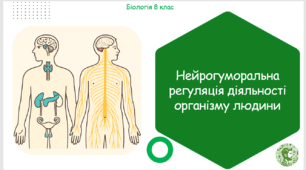 Презентація, конспект уроку та робочі аркуші на тему "Нейрогуморальна регуляція діяльності організму людини". 8 клас НУШ