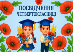 08016v21-0651-247x176.png