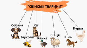 Схема "Свійські тварини"