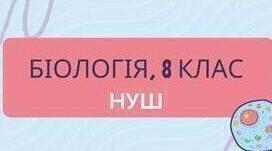 Профілактика порушень формування та функціонування опорно-рухового апарату