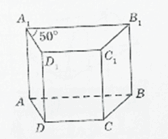 08016w50-0e4e-168x139.png