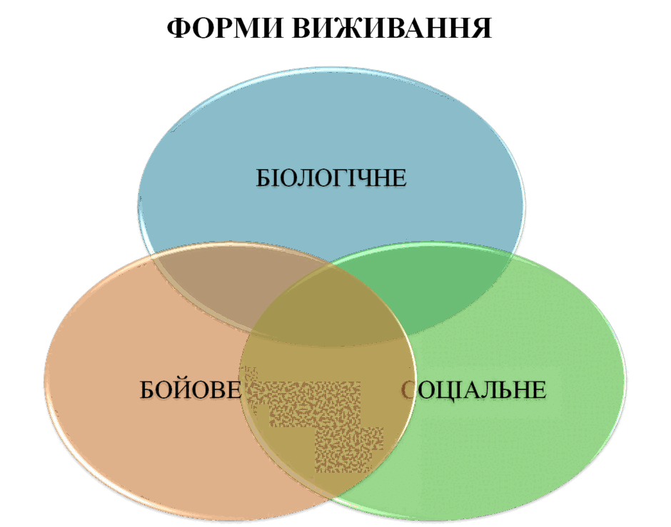 08016wo6-29d1-940x739.png