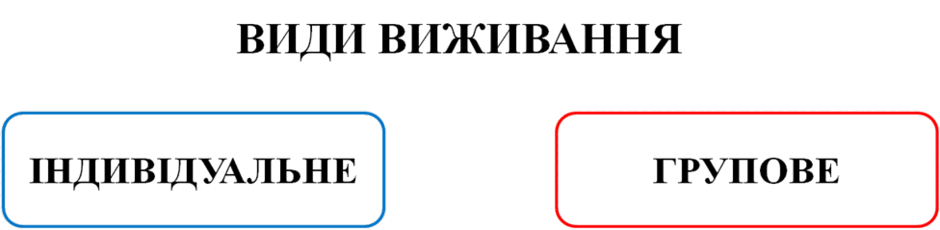 08016wob-c91a-940x230.png