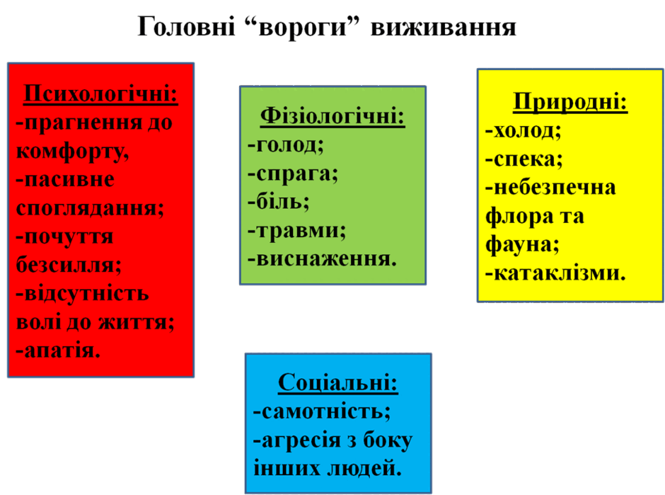 08016woi-4115-940x699.png