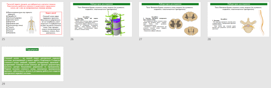 08016x4e-9614-940x305.png