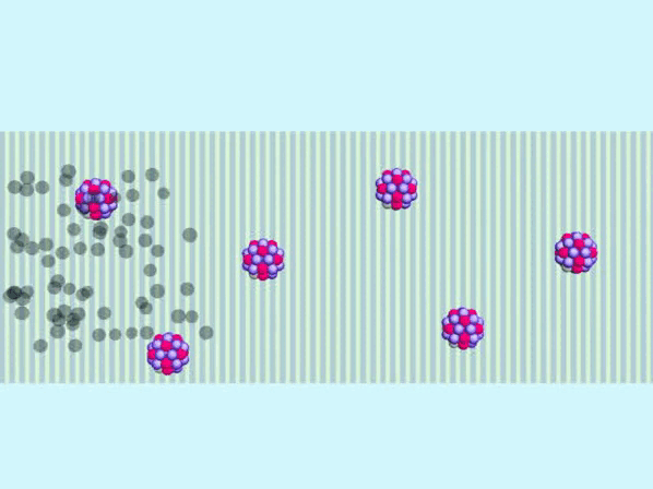08016xqy-d6d1-598x448.gif