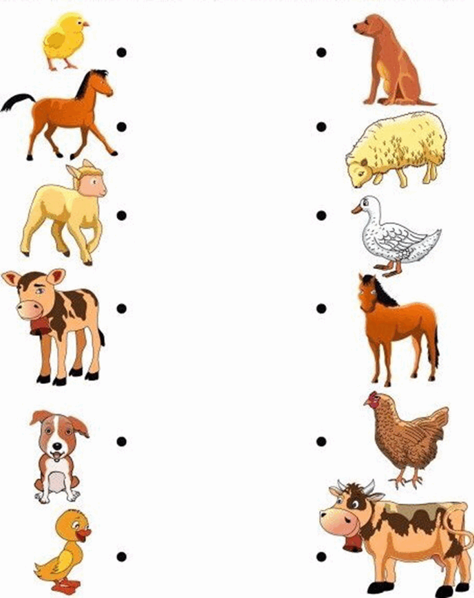 08016y31-eb9d-689x869.png