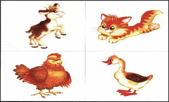 08016y34-9b42-593x356.png