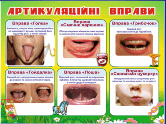 08016y4l-1088-644x482.png