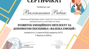 Вебінар-рактикум.Валізка емоцій