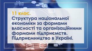 Структура національної економіки за формами власності та організаційними формами підприємств. Підприємництво в Україні.