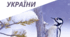 Збірник зимуючих птахів України