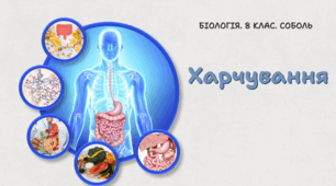 8 клас НУШ. Харчування 