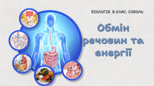 8 клас НУШ. Обмін речовин та енергії. 