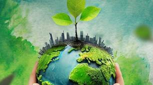 Environment